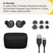 Jabra Elite 5 True Wireless Earbuds Titanium Black