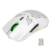 HXSJ T66 RGB 2.4G Wireless Gaming Mouse RGB Lighting Charging Mouse with Adjustable DPI Ergonomic Design for Desktop Laptop White