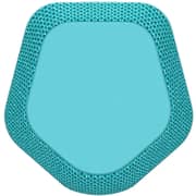 Sony Portable Bluetooth Speaker Blue