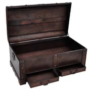 vidaXL Wooden Treasure Chest Large Brown