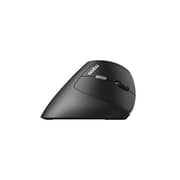 Rapoo EV250 Wireless Vertical Mouse