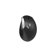 Rapoo EV250 Wireless Vertical Mouse