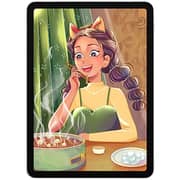 Wiwu Removable Magnetic Screen Protector Clear iPad 10.2/10.5inch (2019)