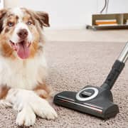 Miele TurboTeQ Carpet Care Black