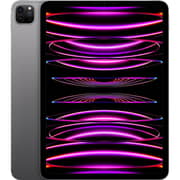 iPad Pro M2 11-inch (2022) - WiFi 512GB Space Grey Middle East Version with FaceTime