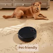 Xiaomi Mi Mop 2 Pro Robot Vacuum Cleaner Black BHR5206EN + Mi Vacuum Cleaner Light BHR5312EN