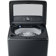Samsung Top Load Washer 22 kg WA22A8376GV/SG