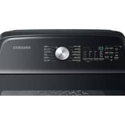 Samsung Top Load Washer 22 kg WA22A8376GV/SG