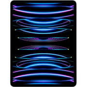 iPad Pro M2 12.9-inch (2022) - WiFi 1TB Silver - International Version