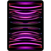 iPad Pro M2 11-inch (2022) - WiFi 256GB Space Grey - International Version