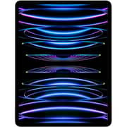 iPad Pro M2 12.9-inch (2022) - WiFi+Cellular 256GB Silver - International Version