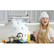Milton Cooker Hood Built-in Classic Hood Silver (60 x 60) cm 7501INOX60