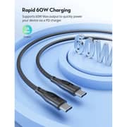 RavPower RP-CB1029 USB-C to USB-C Fast Charging Cable 60W 1.2m - Black
