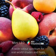 Sony XR65X95K 4K UHD LED Television 65inch (2022 Model)