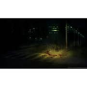 Nintendo Switch Death Mark Game