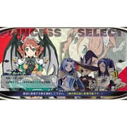 Nintendo Switch The Princess Guide Game