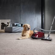 Miele Complete C3 Cat&Dog PowerLine Cylinder Vacuum Cleaner SGEF5