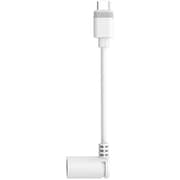 Ring B0B3Y9553X Barrel Plug To USB-C Adapter White