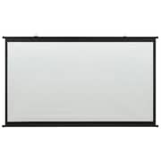 vidaXL Projection Screen 60