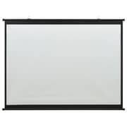 vidaXL Projection Screen 63
