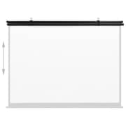 vidaXL Projection Screen 63