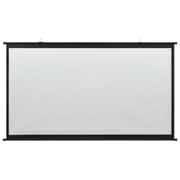 vidaXL Projection Screen 100