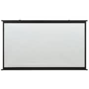 vidaXL Projection Screen 60