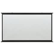 vidaXL Projection Screen 120