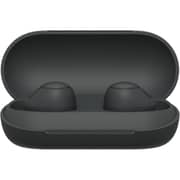 Sony C700N Wireless Noise Cancelling True Wireless Earbuds - Black
