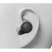 Sony C700N Wireless Noise Cancelling True Wireless Earbuds - Black