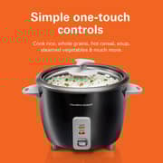 Hamilton Beach Rice Cooker With Steamer 37517-ME