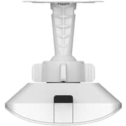 Ruijie Wireless Bridge