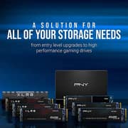 PNY CS1030 M.2 NVMe PCIe Gen3 x4 Internal SSD 1TB Black M280CS1030-1TB-RB