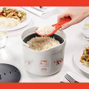 Stargold Multi-Cooker SG-1381