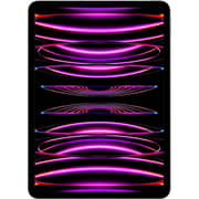 iPad Pro M2 11-inch (2022) - WiFi+Cellular 512GB Space Grey