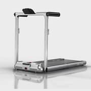 Skyland 2-in-1 Walking Pad Device-Double Foldable Treadmill EM-1288