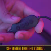 Streamplify 10 Ring Light With Tripod and 2 Mounts 26cm