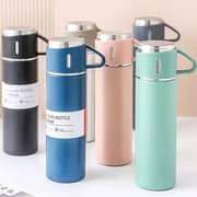 Budi Stainless Steel Vacuum Cup Set