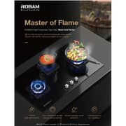 Robam Gas Hob B420