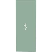 PXN Wireless Game Controller With Macro Buttons Green