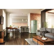 Gorenje Single Door Refrigerator 254 Litres ORB153OL