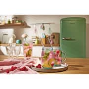 Gorenje Single Door Refrigerator 254 Litres ORB153OL