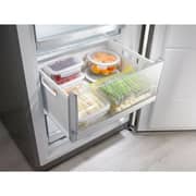 Gorenje Upright Refrigerator 243 Litres FN6192PX