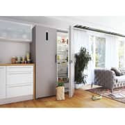 Gorenje Upright Refrigerator 243 Litres FN6192PX