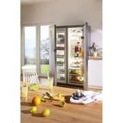 Gorenje Upright Refrigerator 243 Litres FN6192PX