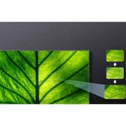 Toshiba 55C450KW 4K QLED Smart Television 55inch (2023 Model)