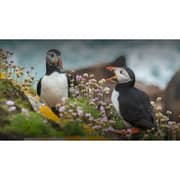 Toshiba 55C450KW 4K QLED Smart Television 55inch (2023 Model)