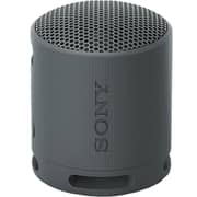 Sony Portable Bluetooth Speaker Black
