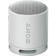 Sony Portable Bluetooth Speaker Light Grey
