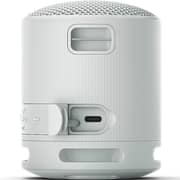 Sony Portable Bluetooth Speaker Light Grey